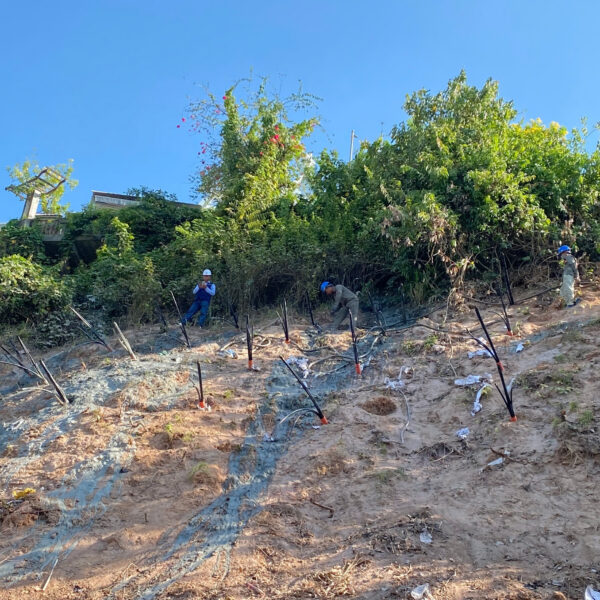 z6630182338877_97cf37c82773a06e4f1e2b57b34e3d38