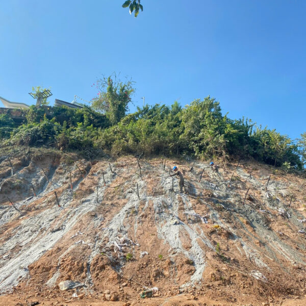 z6630182829118_982ce9b7c60b7f870a0e2eba2c0cdf8a