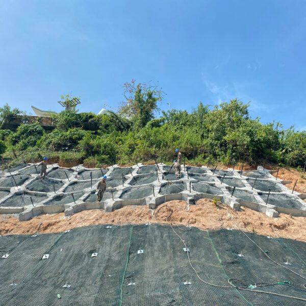 z6630183049973_dc718812bb8d1e16267c68fd9de9bda7